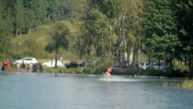 молодые побеги лука 2