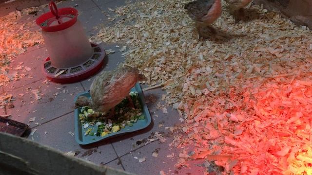 08-05-2023 смотреть онлайн