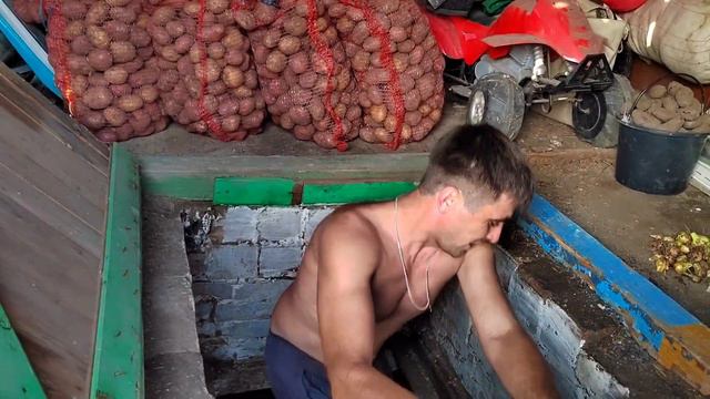 Наконец то Докопали Картошку/Я Конечно Сегодня На Это не Рассчитывала/27.08.23 смотреть онлайн