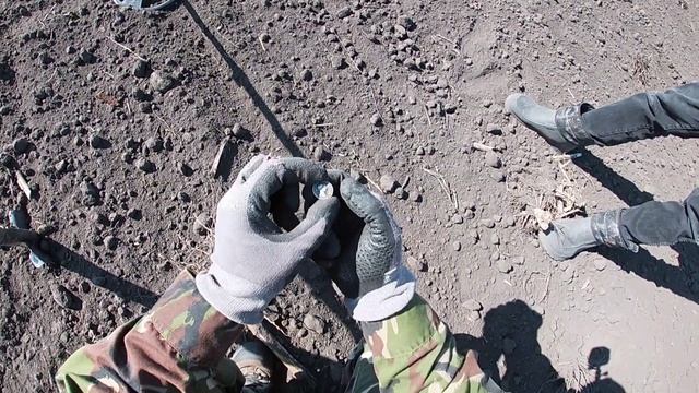 Есть еще серебро на полях. Поиск монет 2021 с XP DEUS. смотреть онлайн