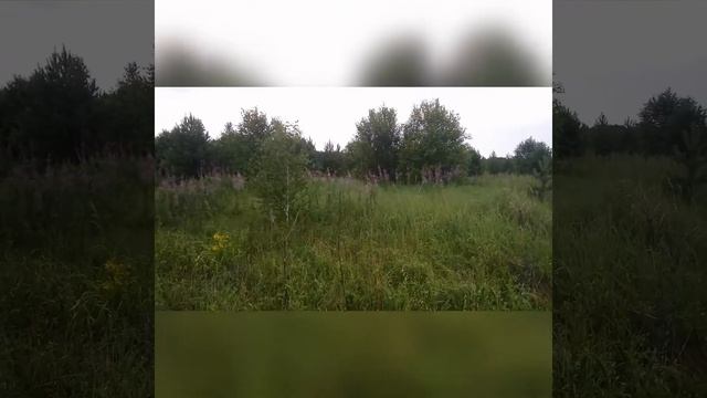 Милая роща, памяти родителей смотреть онлайн