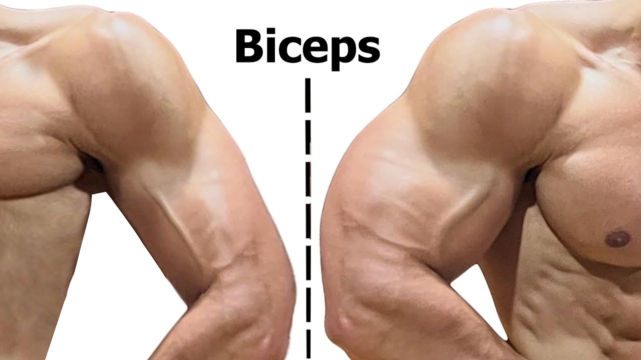 Бицепсы будут быстро расти после выполнения этих сильных упражнений - тренировка бицепсов смотреть онлайн