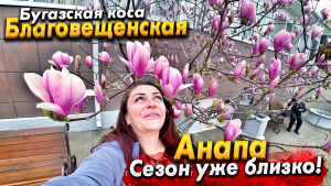 АНАПУ БУДЕТ НЕ УЗНАТЬ! СНОС ДОМОВ НА НАБЕРЕЖНОЙ! СТАНИЦА БЛАГОВЕЩЕНСКАЯ - КОГДА БУДЕТ НОВАЯ АНАПА?