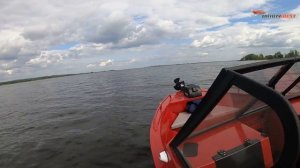 Немного летнего позитива