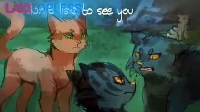 Клип Коты-Воители Долгохвост ЭХО смотреть онлайн