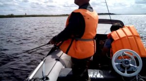 Архив. Рыбалка в Свирице. Устье реки Свирь. Ладога. Окунь на спиннинг. Прокатились на лодке.