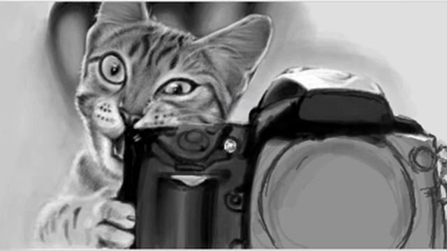 Nikon D700 смотреть онлайн