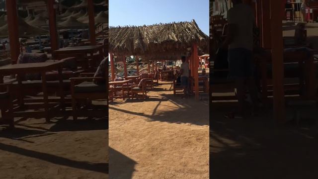 Обзор пляжа от отеля Tivoli, пляж Palma Beach смотреть онлайн