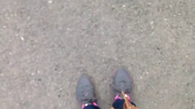 Поход в Останкинскую башню/Останкинский парк? смотреть онлайн