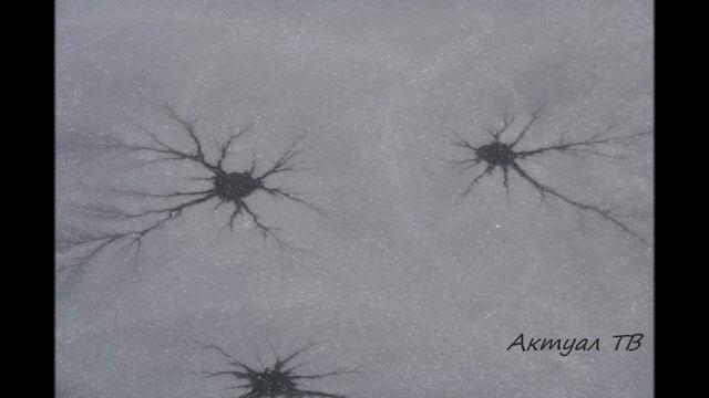 ЗИМНЯЯ СКАЗКА В КРИВОРОЖСКОМ БОТАНИЧЕСКОМ САДУ смотреть онлайн