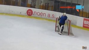 Iedzēris hokeja vārtsargs  Выпивший хоккейный вратарь