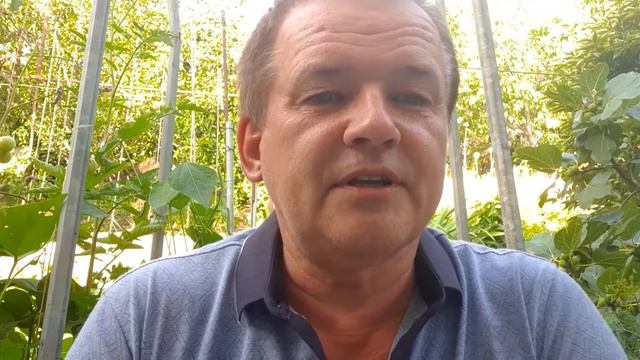 Что сьесть на ночь, чтобы спать и худеть. смотреть онлайн