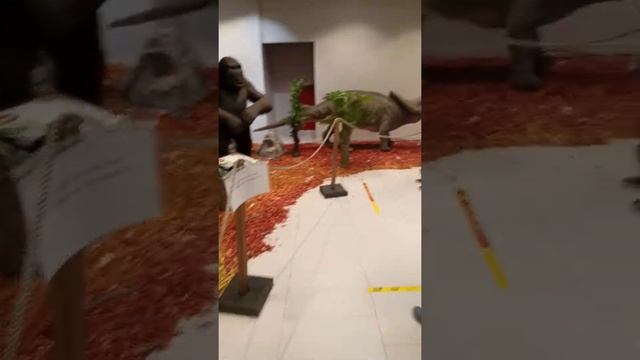 Лиона в Дино-парк,ТЦ Каширская плаза смотреть онлайн