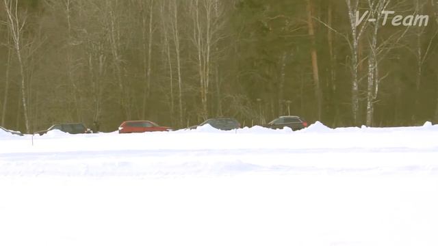 Левретка. Фрагмент забега Daniel Vento Vittoria. МЗ-2017.