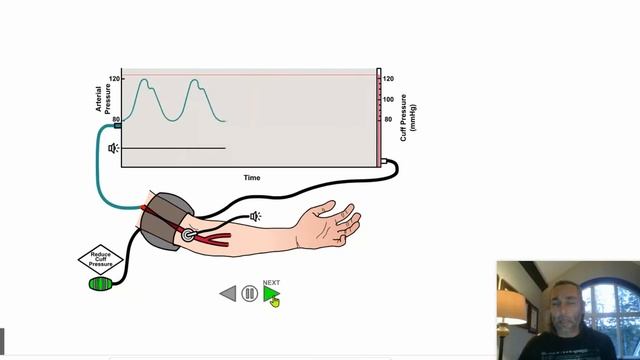How Does a Blood Pressure Cuff Work? смотреть онлайн