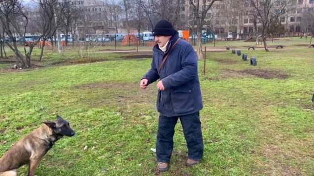 Дрессировка собак. Первая прогулка с Вашим щенком. Часть 2 смотреть онлайн