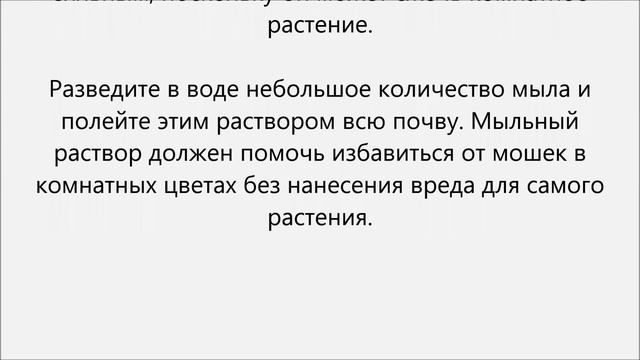 Лицо без кожных проблем