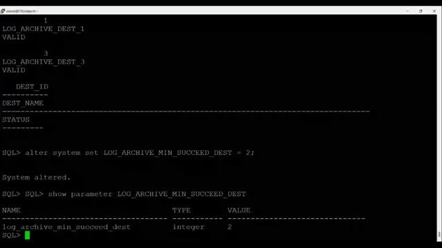 Free-Oracle-19c-Old-Arch-DBA-Workshop-L18-Morning-Session смотреть онлайн