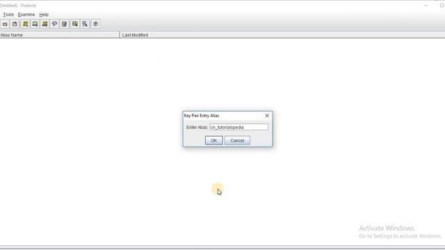 Generate Self Signed Certificates Using Portecle| Step By Step Tutorial смотреть онлайн