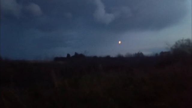 ОХОТА С МОЛОДЫМ КУРЦХААРОМ/ ОХОТА НА УТКУ/ смотреть онлайн
