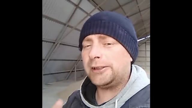 Кризис. Откорм до 100кг. Иммунитет. Вторичное использование подстилки. смотреть онлайн