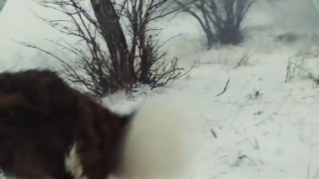 От 25 декабря,Рождественская сказка❄С католическим Рождеством!☃️❄⛄❄?❄ смотреть онлайн