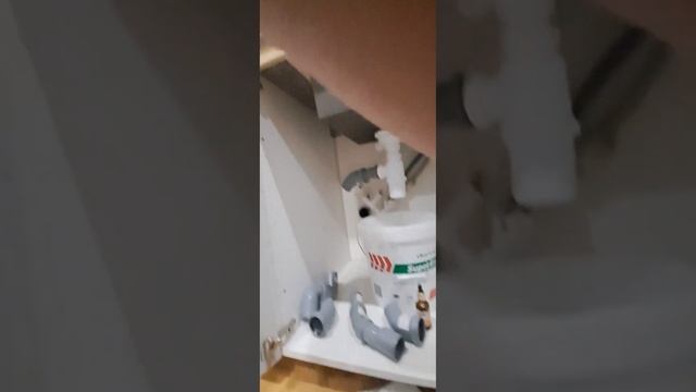 Меняю гофру! смотреть онлайн