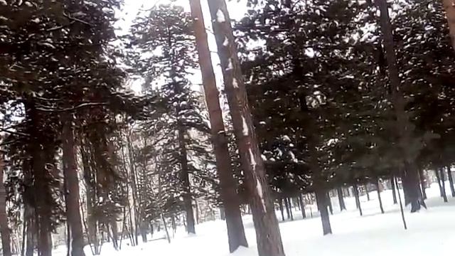 Хобби. Как выбрать дело по душе? смотреть онлайн