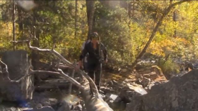 В Алтайских горах смотреть онлайн