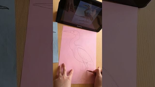 Зарисовки птиц. Цапля (урок 2) смотреть онлайн