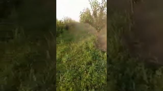 Кахун.приствольная обработка.минитрактор. смотреть онлайн