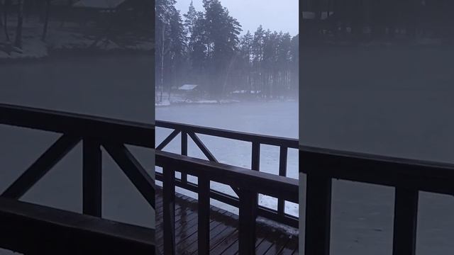 Как живут Утки на зимнем озере? смотреть онлайн