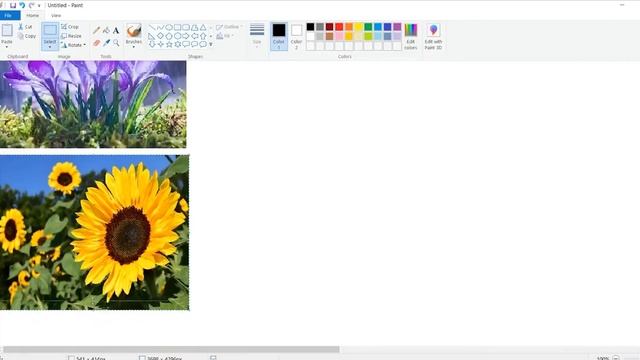 How to Merge Two (2) Pictures into One (1) Picture using MS Paint | Windows 10 смотреть онлайн