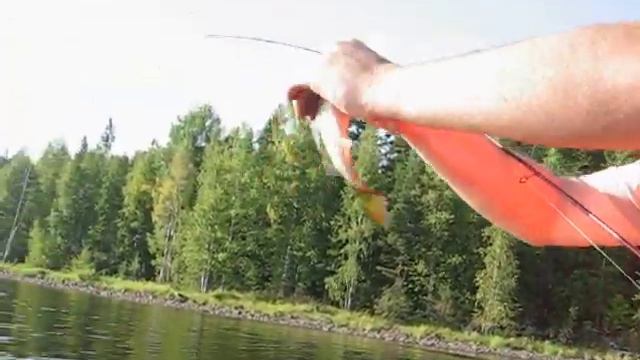 Водлозеро рыбалка