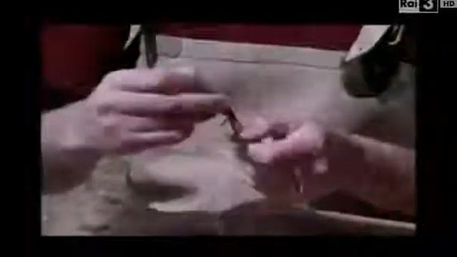 Surf Casting (1966) di Giuseppe Taffarel смотреть онлайн