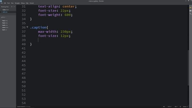 How To Make An Image Gallery Using HTML And CSS | Image Gallery Design With Caption смотреть онлайн