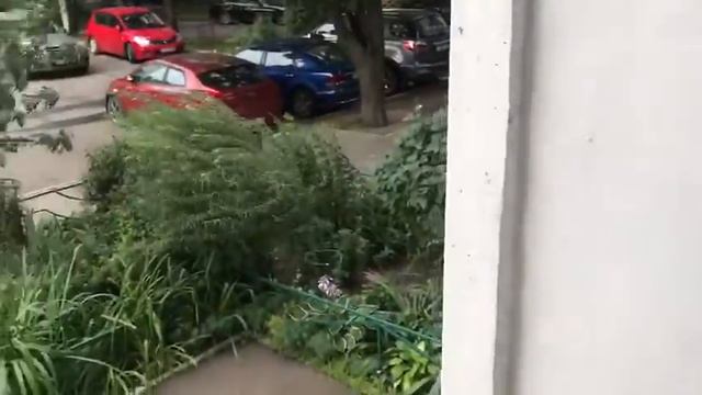 Аренда нежилого помещения 20 кв.м., Кленовый бульвар 13 смотреть онлайн