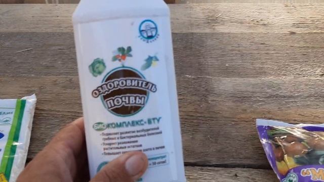 Обзор теплиц с томатами... смотреть онлайн