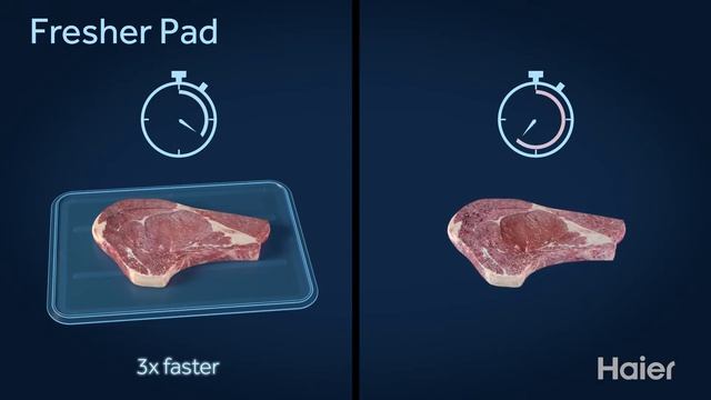 Haier Refrigerator Fresher Pad