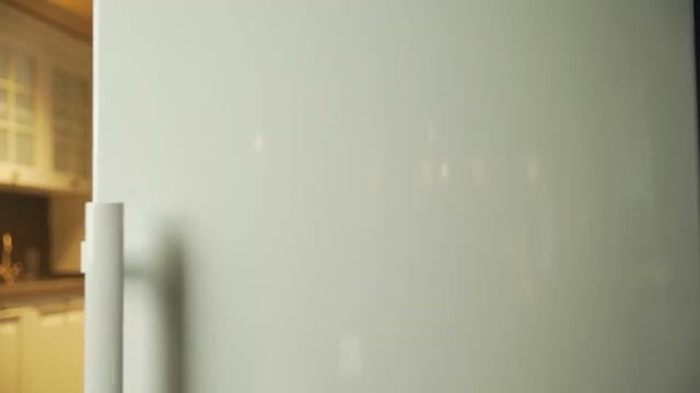 Поглотитель запахов Electrolux E6RDO101 смотреть онлайн