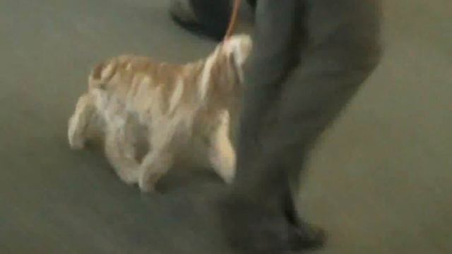baby_WMV V9.wmv смотреть онлайн
