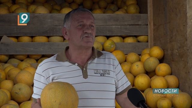 Как выбрать лучшую дыню? смотреть онлайн