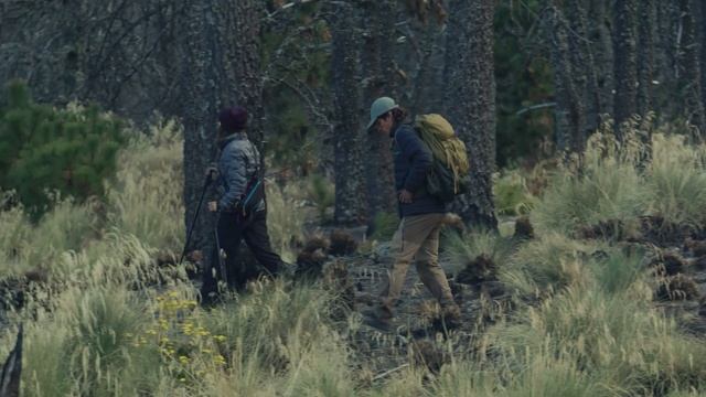 ТАЙНЫ ГОРНЫХ ХРЕБТОВ //АППАЛАЧСКАЯ ТРОПА//ГОРЫ АППАЛАЧИ смотреть онлайн