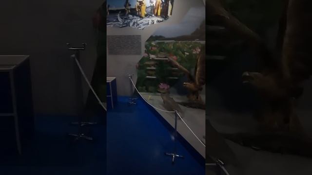 огромная рыба белуга 6 метров смотреть онлайн