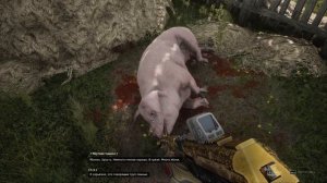 Где найти говорящих животных Atomic Heart с Диалогами