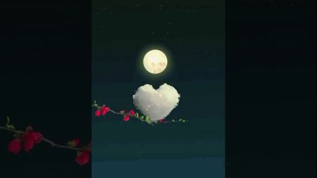 Beautiful NASHEED...♥️??