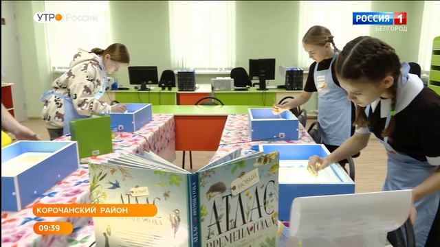 В Корочанской библиотеке работает художественная студия для особенных детей смотреть онлайн