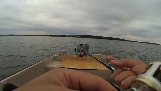 Поклевки судака на камеру, Сумасшедший клев судакак на любые приманки. Лето 2017. смотреть онлайн