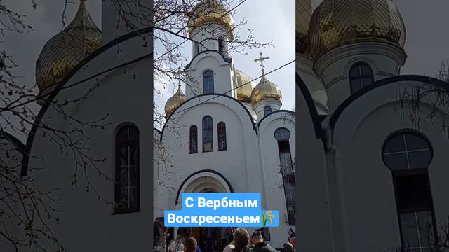 С Вербным Воскресеньем #природа #православие #праздник #вербноевоскресенье #церковь смотреть онлайн
