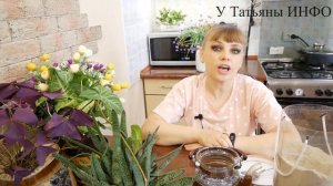 Зачем комнатным растениям нужна ЗОЛА? Как приготовить зольный раствор для цветов?